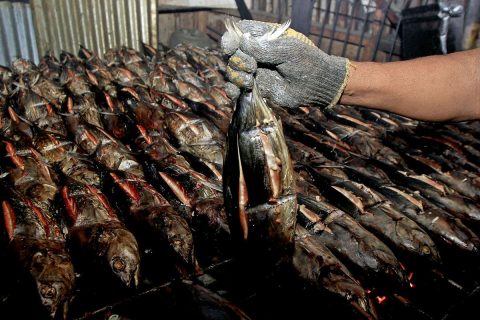 Produksi Ikan Asap di Halmahera Selatan