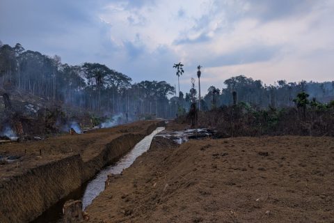 Pemilik Kebun Meradang, CV Sansibar Diduga Gali Lahan Warga di Haltim